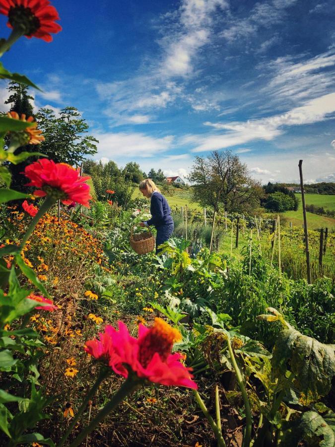 Landhaus Schaller Im Suedburgenland Maria Bild ภายนอก รูปภาพ