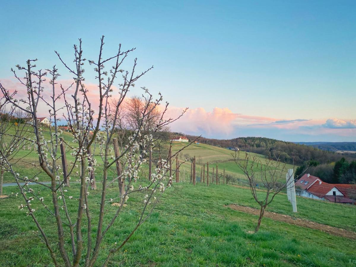 Landhaus Schaller Im Suedburgenland Maria Bild ภายนอก รูปภาพ